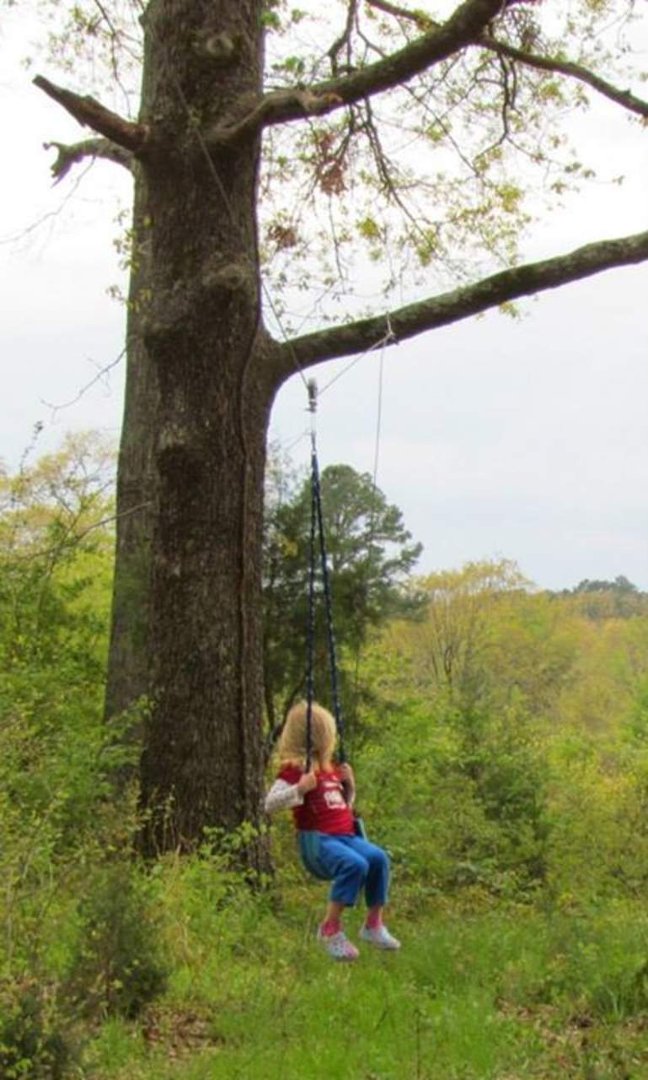 suzanne allee's album, Zip lining at Aunt Laverne's