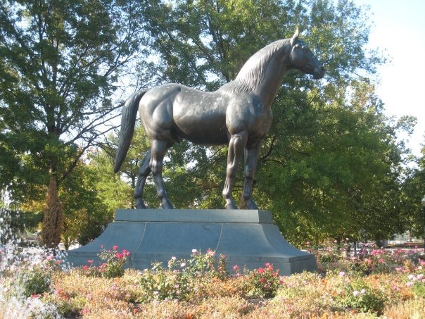 Janice Terry's album, Kentucky Horse Park