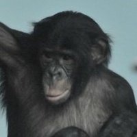 Danny Smith's album, Profile Pictures