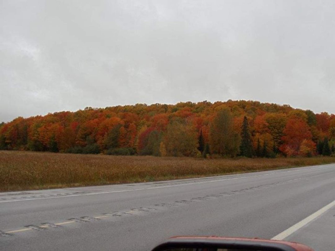 Stephen Aldrich's album, Fall in da yoopie