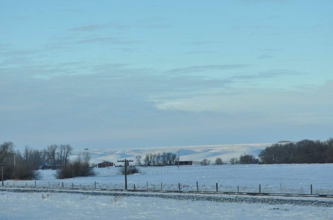 Edward Asbert's album, Cananda trip January , 2011