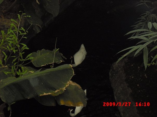 Terry Waters' album, Dallas World Aquarium