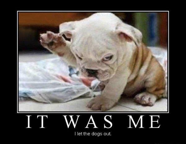 Steven Smith's album, Timeline Photos