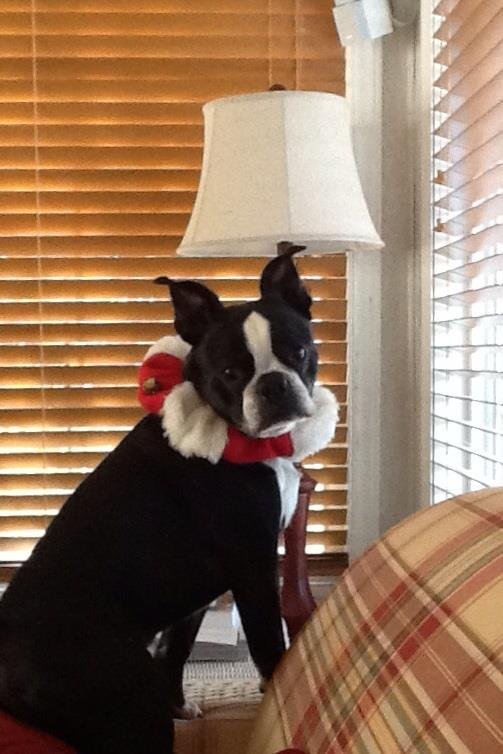 Susan Taylor's album, iOS Photos