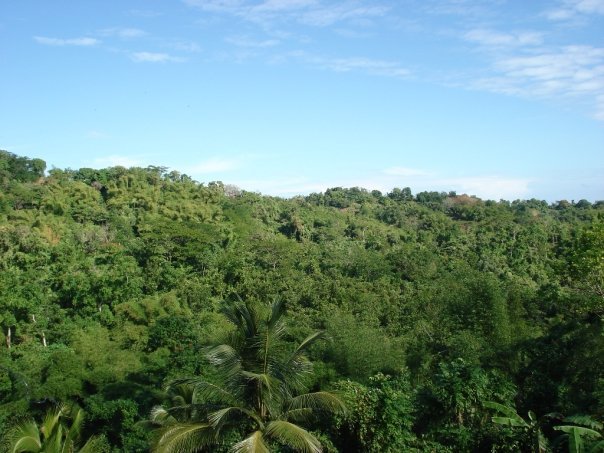 Dion White's album, jamaica