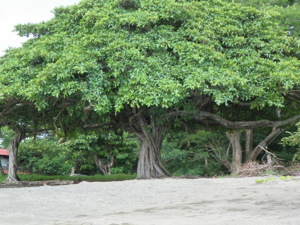 Bryan Raines' album, Costa Rica 2012