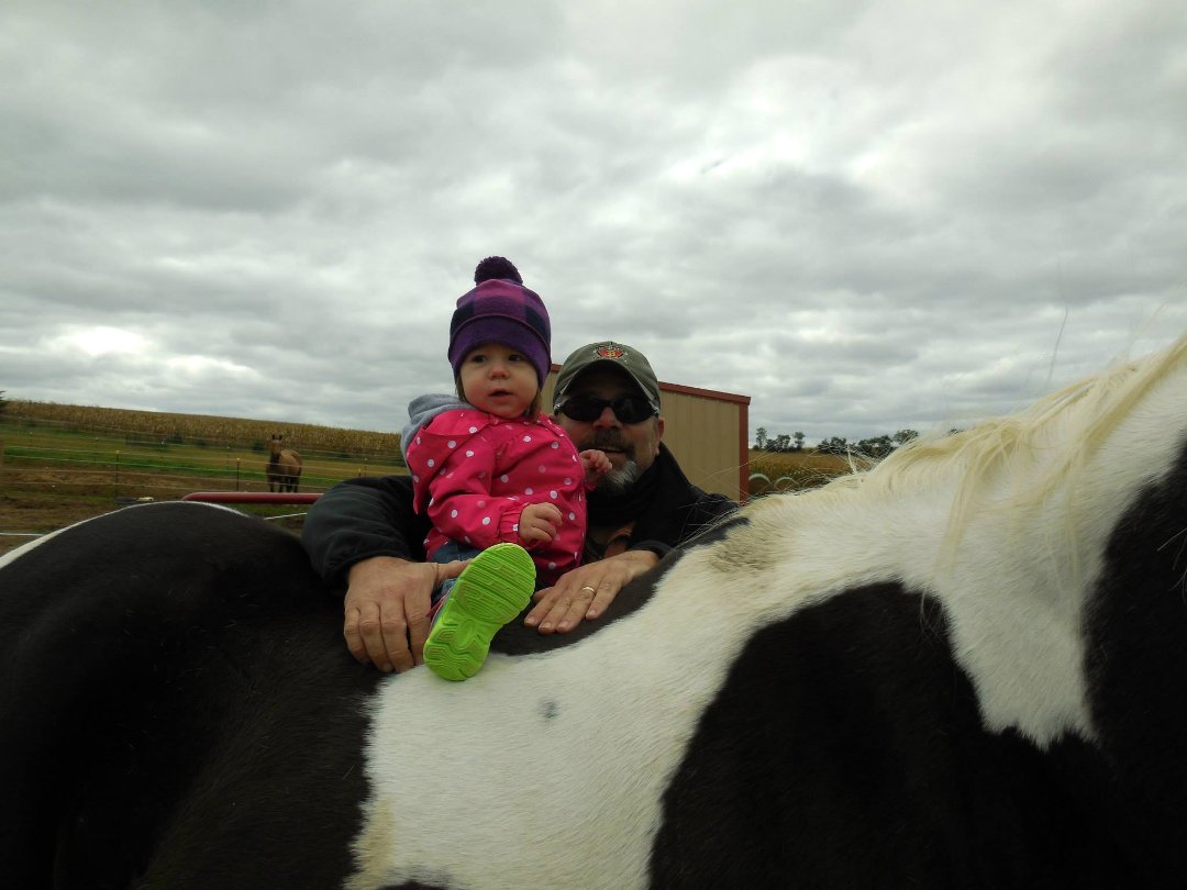 John Ard's album, Lily meets Jake, Koda and Whiskey