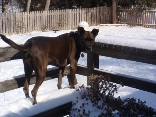 Maribeth Collier's album, March 24, 2011
