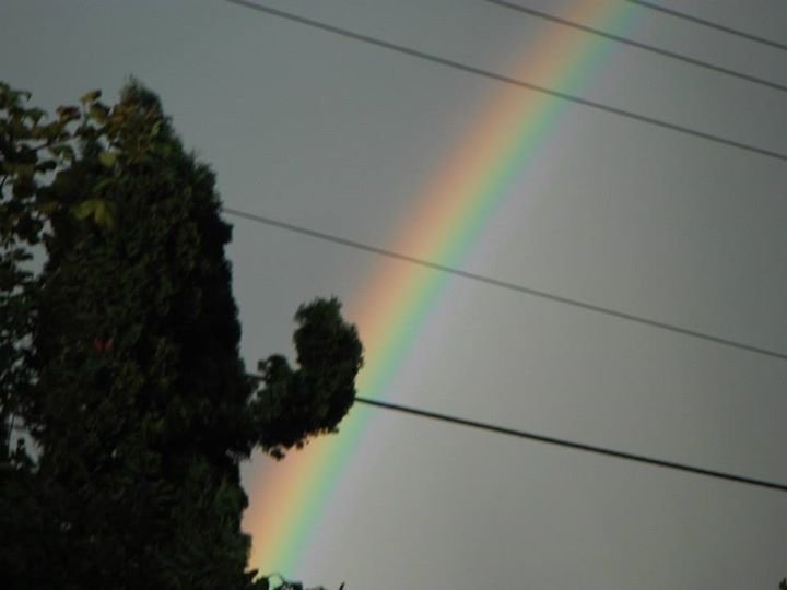 Larry Baxter's album, Cover Photos