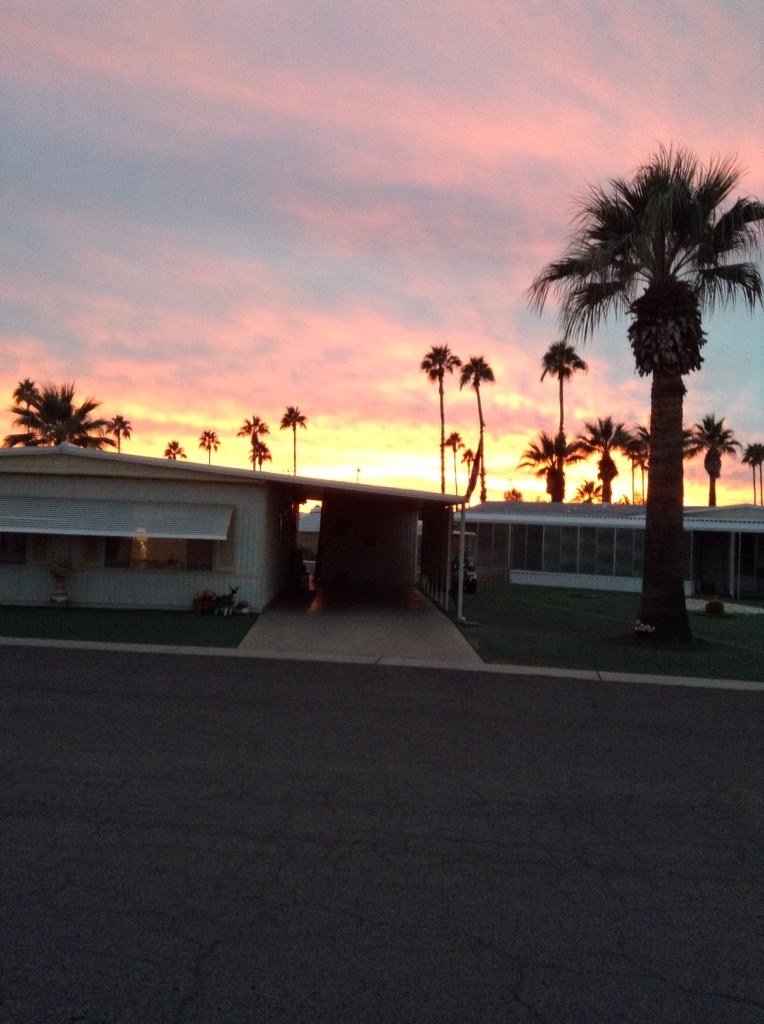 Vivian Reeves' album, iOS Photos