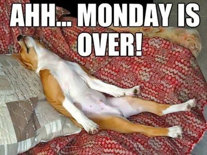 Tim Mincer's album, Timeline Photos