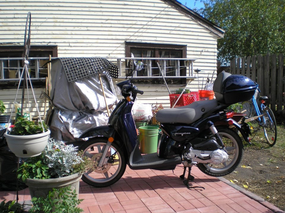 Deb Oman's album, Scooter