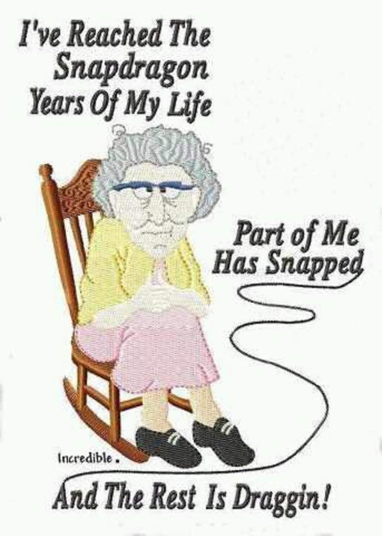 Lynette Brock's album, Mobile Uploads