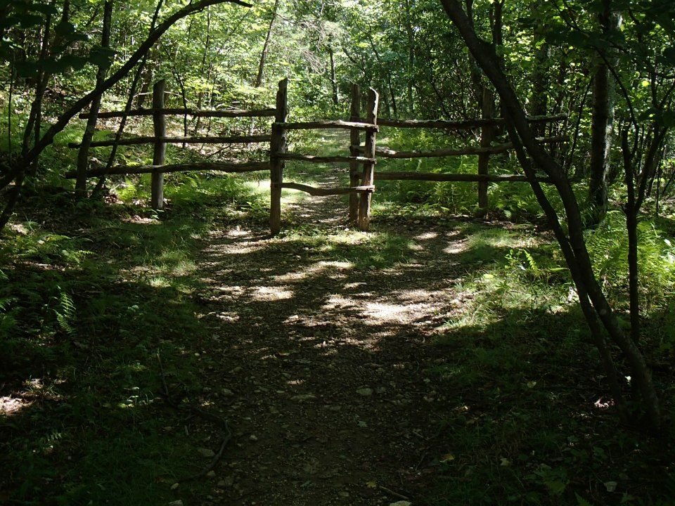 Brian Melton's album, Mt. Pleasant and Pompey Mountain--Henry Lanum Trail