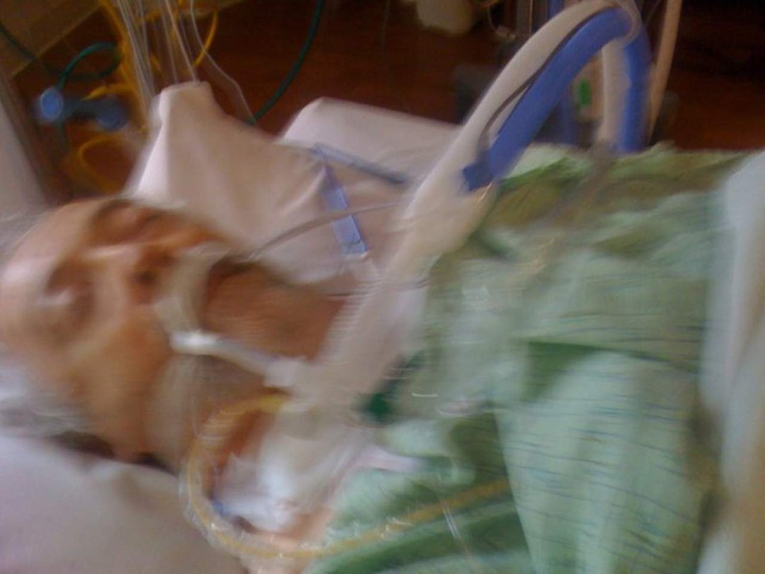 Michael McGee's album, Heart Surgery