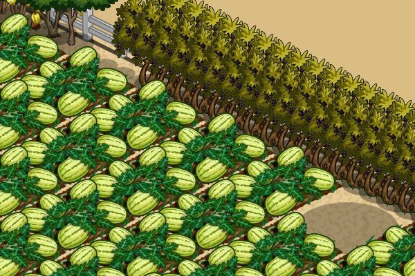 eugene burger's album, FarmVille Photos