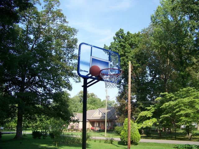 Joan Shannon's album, Summer 2010