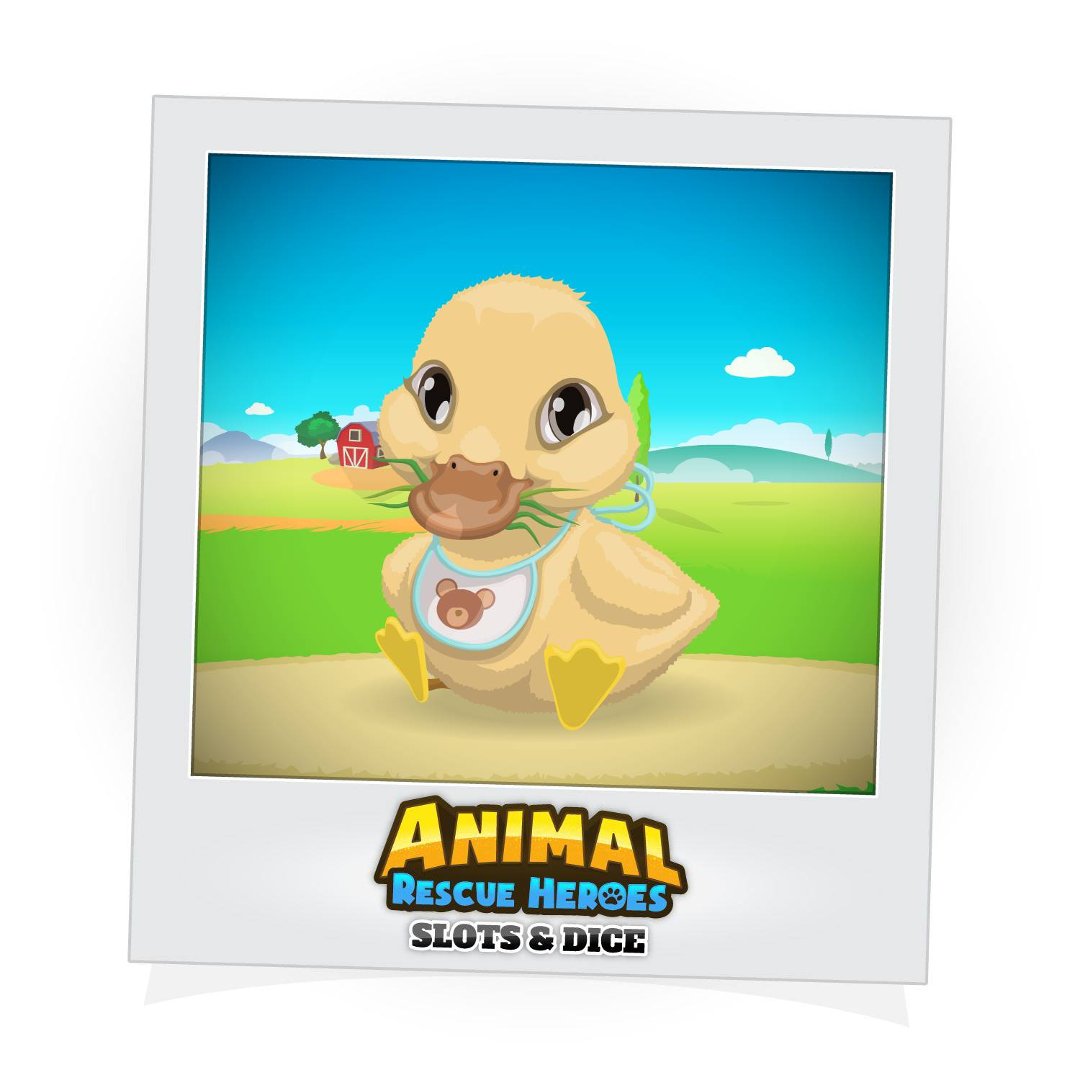 Shawn Fleeman's album, Animal Rescue Heroes: Slots&Dice Photos