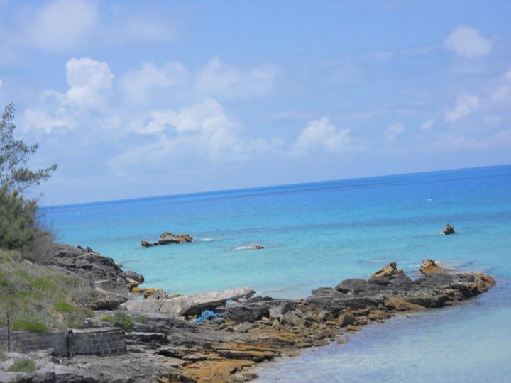 Tracy Robertson's album, Bermuda 2011