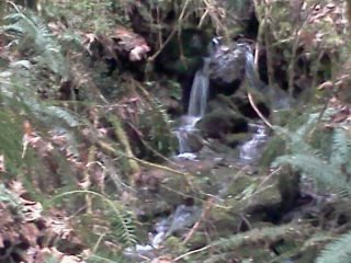 arden post's album, LG Phone Photos