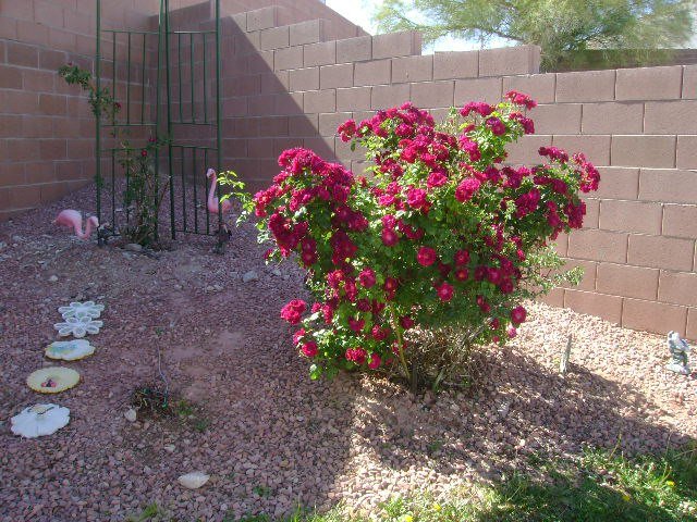 Beverly Lumm's album, Timeline Photos