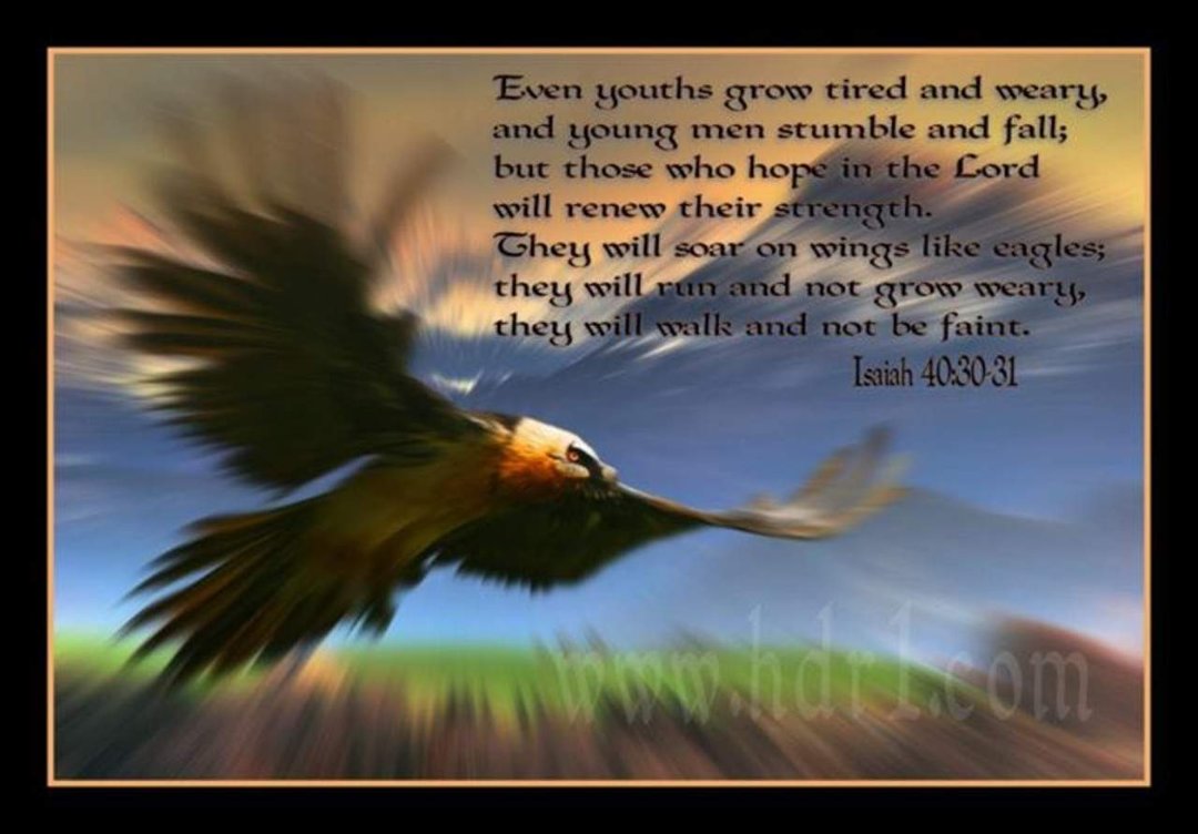 Larry Bolin's album, Timeline Photos
