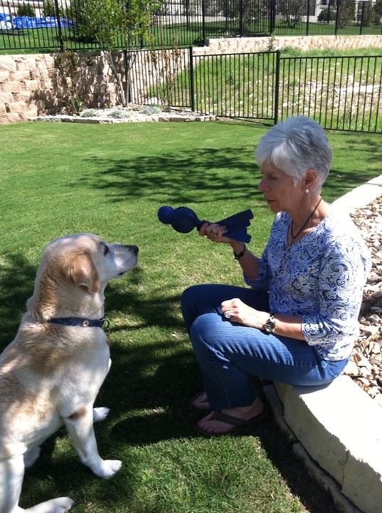 Julia Wise's album, Mobile Uploads