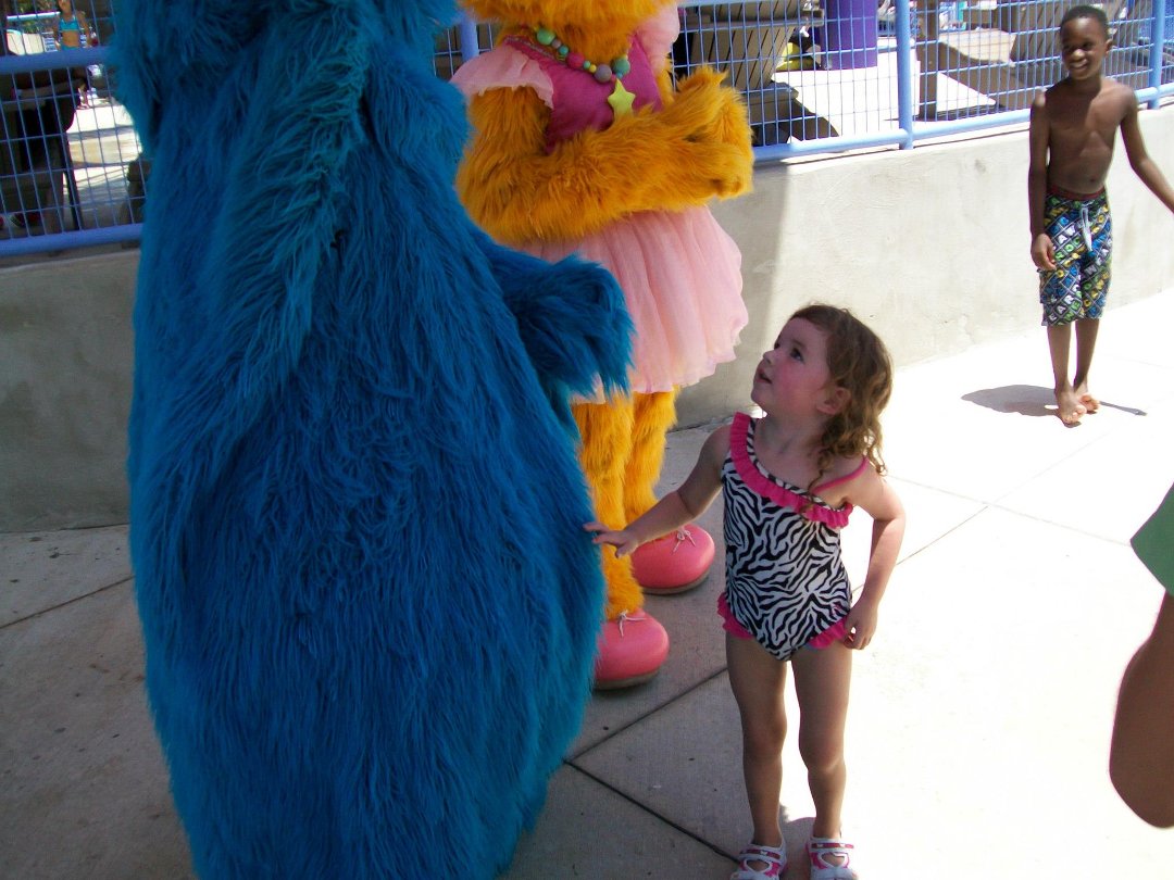 Debra Vaello's album, Seaworld Summer 2012