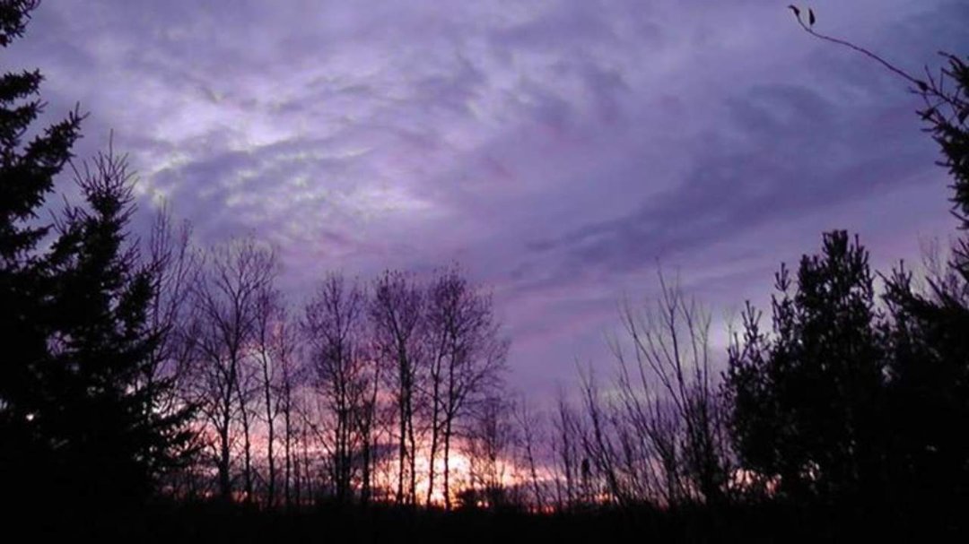 Tim Robinson's album, Cover Photos