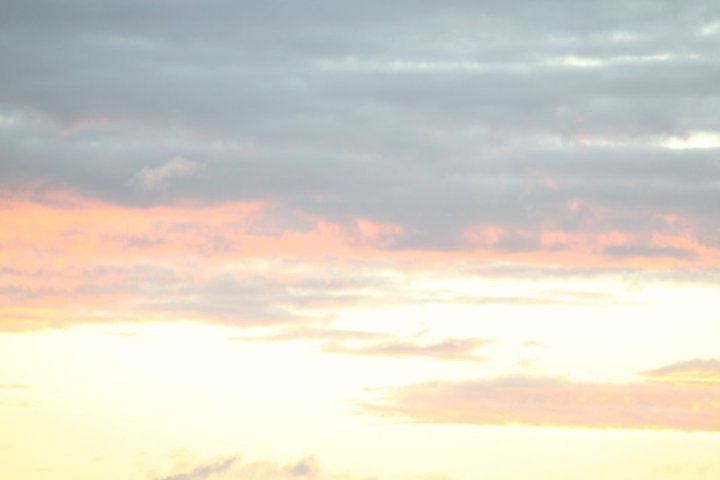 Christopher Garza's album, November 25, 2010