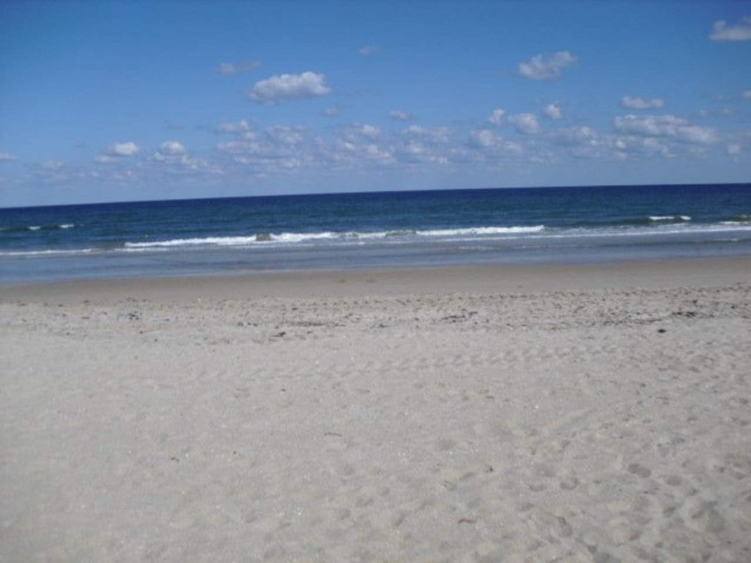 Trudy Wallace's album, Cover Photos