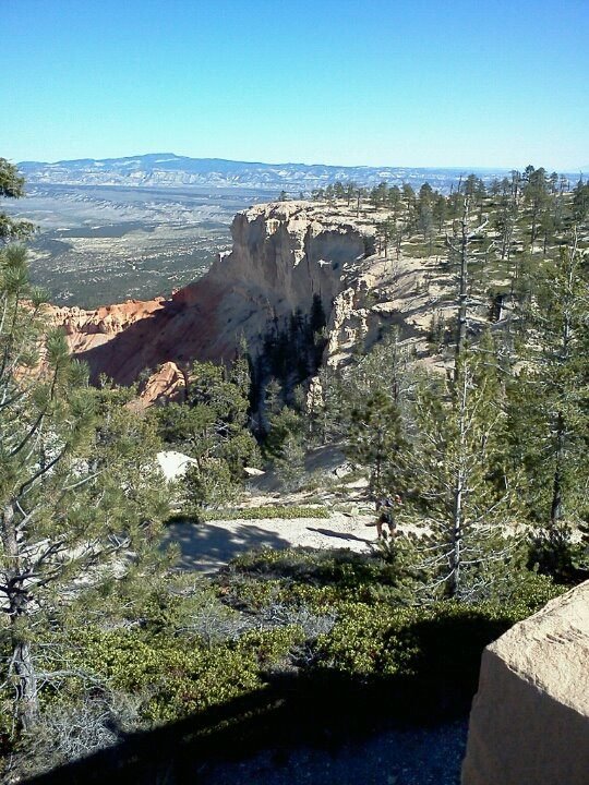 Debbie Cheek's album, LG Phone Photos