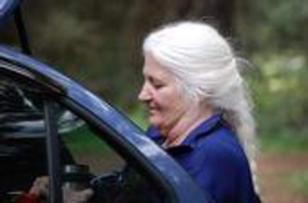 Maureen Blow's album, Profile Pictures