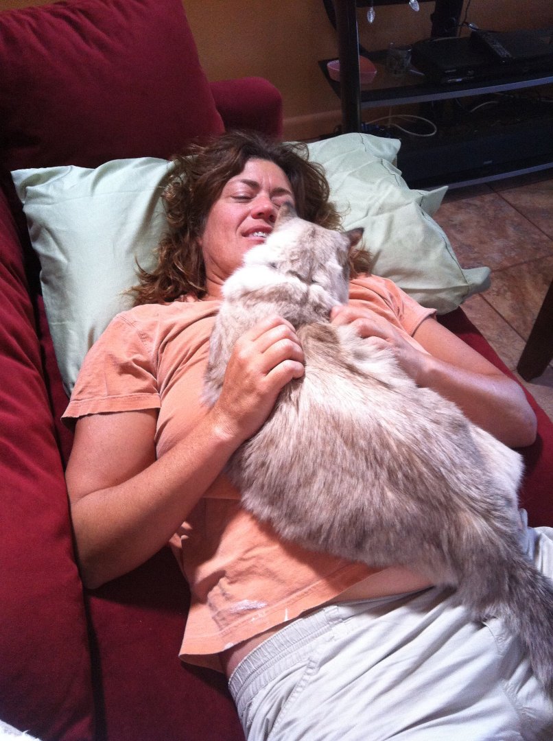 Gale Davidson's album, Mobile Uploads