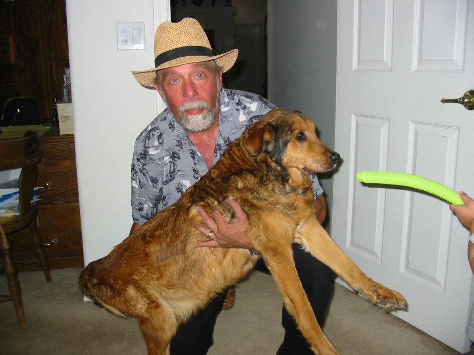 Marc Lezak's album, In Memory, We love you BoBo