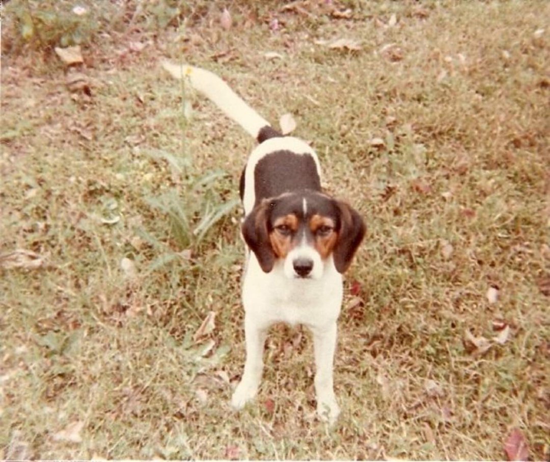 James Batson's album, a little more