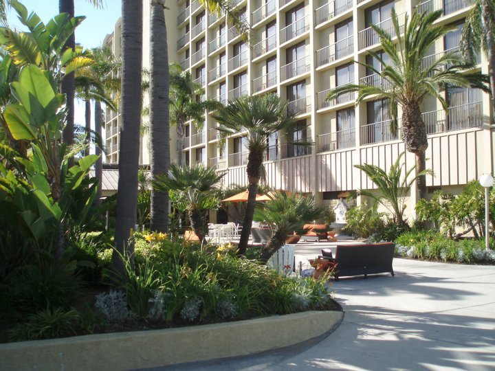 Chris Franklin's album, Newport Beach