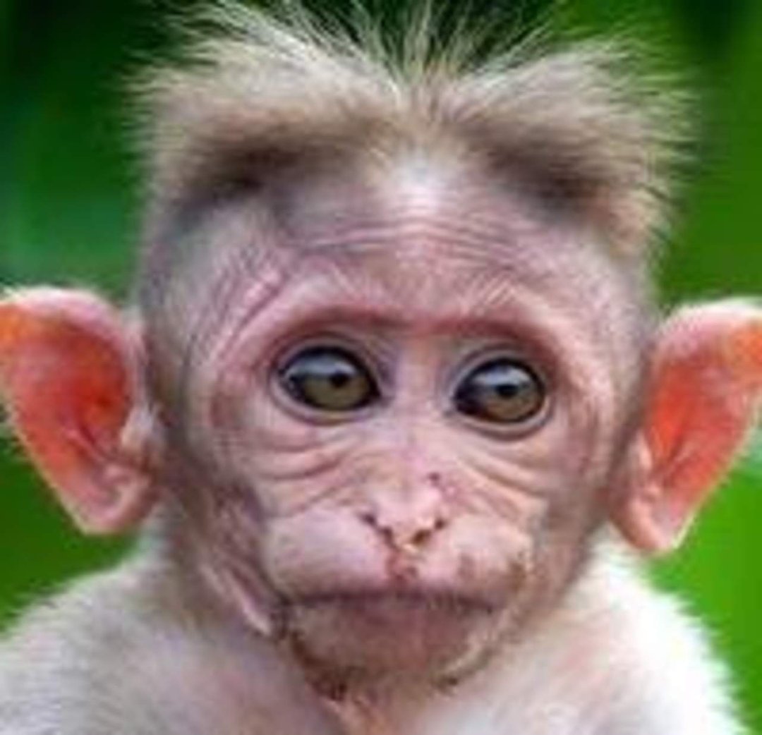 Chip Matthai's album, Profile Pictures