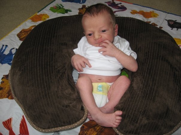 Dave Hales' album, Ethan David Hales 0-2 months