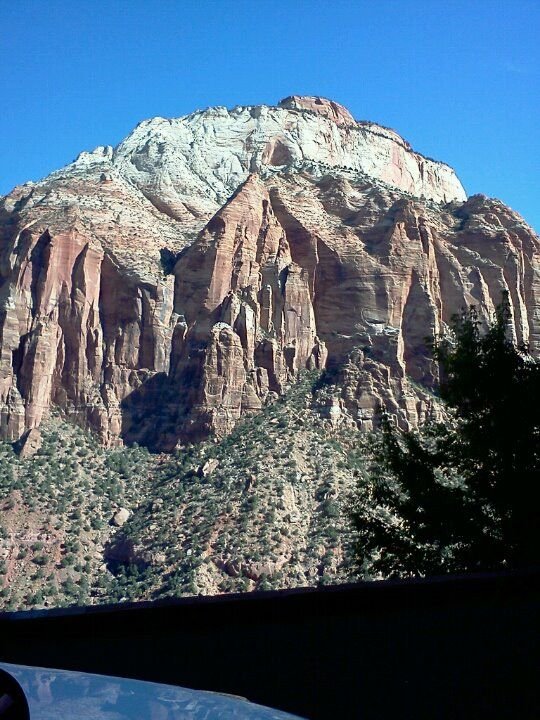 Debbie Cheek's album, LG Phone Photos
