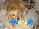 Linde Yoeono's album, Timeline Photos