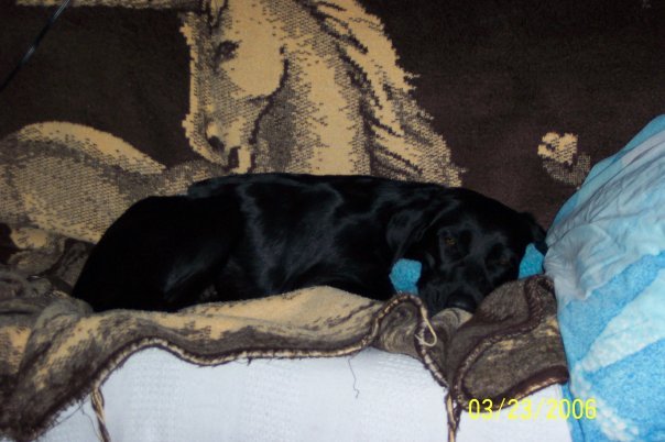 Barbara Cummins' album, Timeline Photos