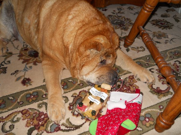 Dixie Dereus' album, Christmas 2009
