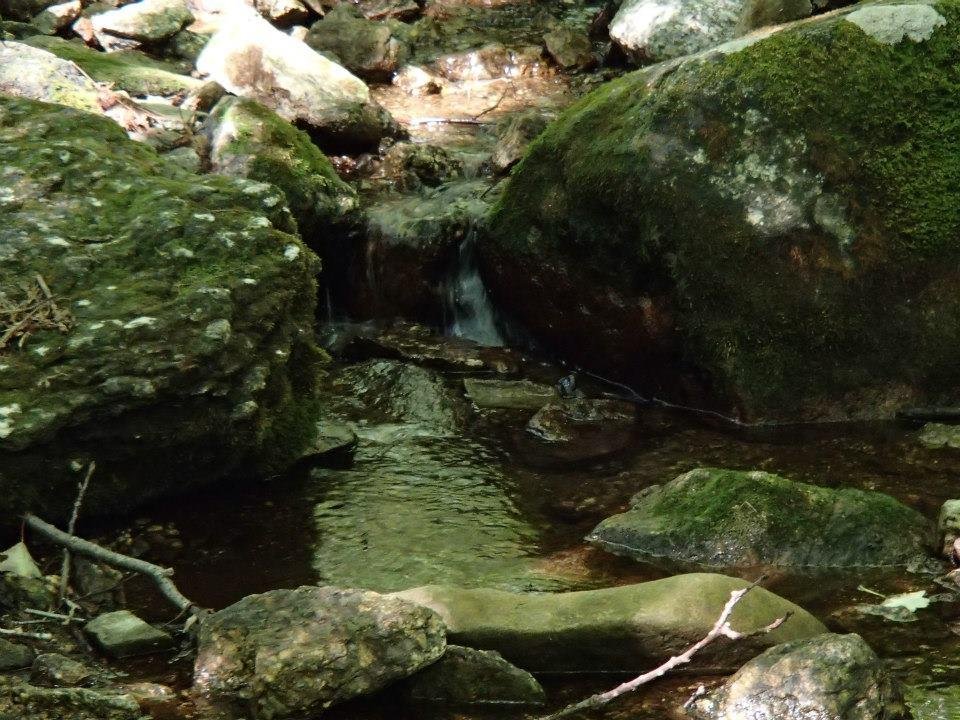 Brian Melton's album, Mt. Pleasant and Pompey Mountain--Henry Lanum Trail