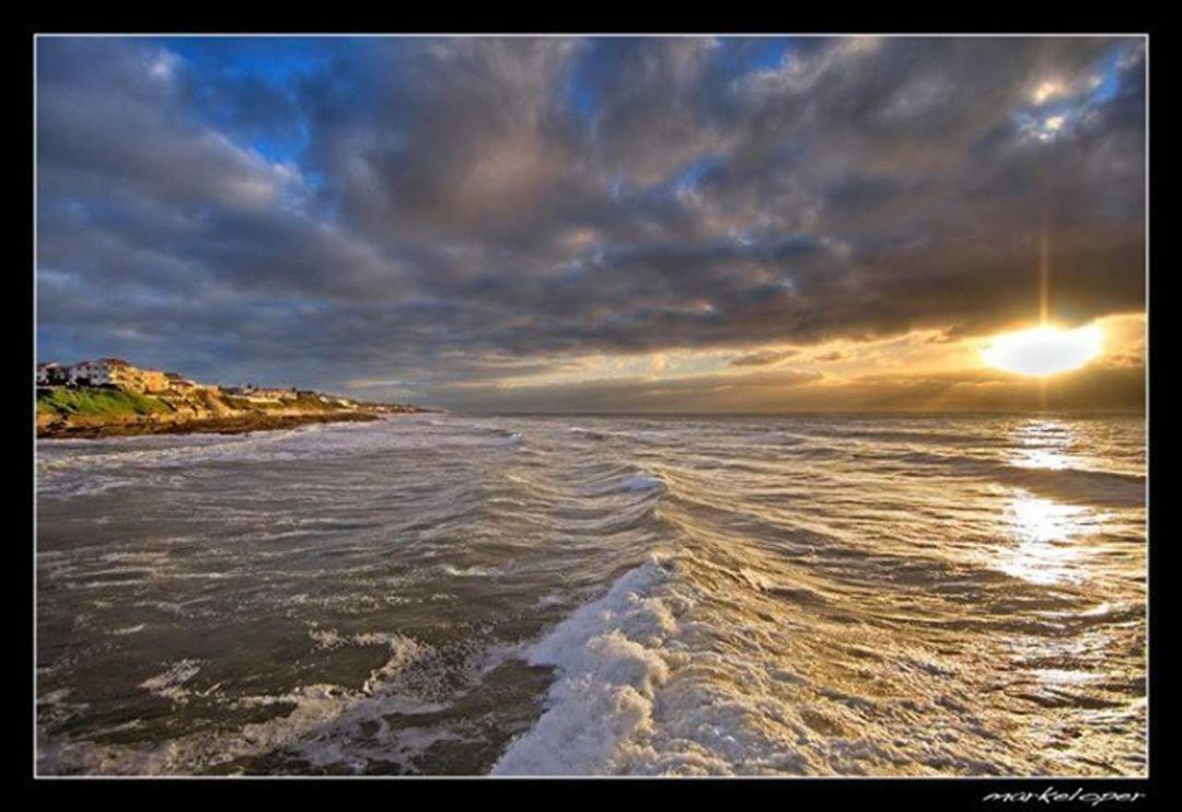 Deborah Lemm's album, Cover Photos