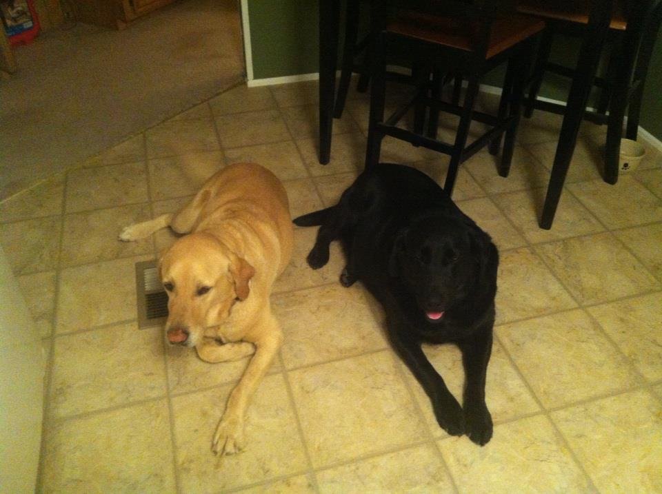 Sharyl Dennison's album, iOS Photos