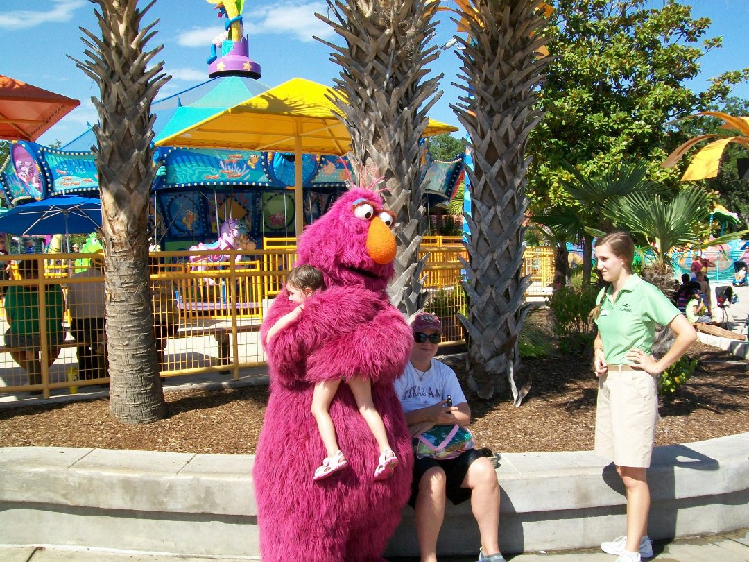 Debra Vaello's album, Seaworld Summer 2012