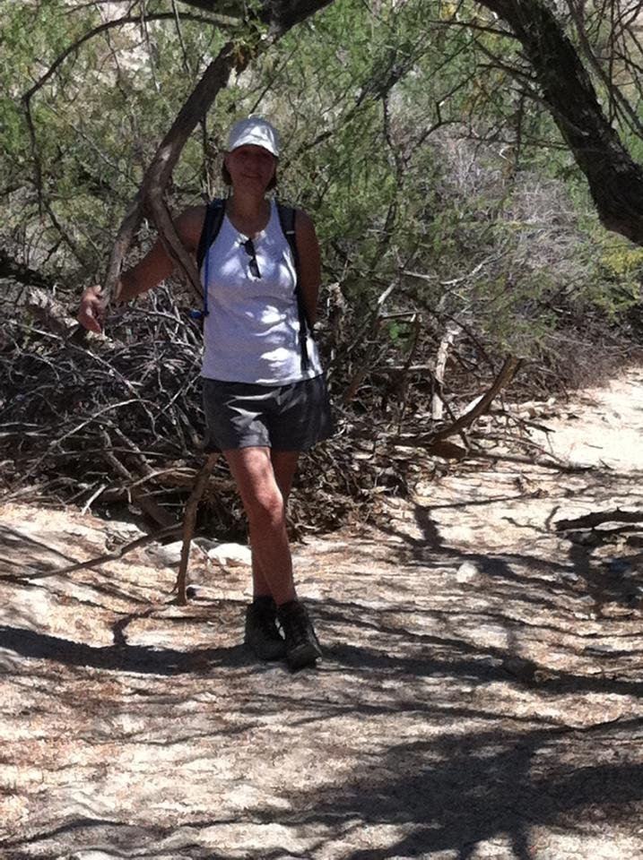 Gale Davidson's album, Mobile Uploads