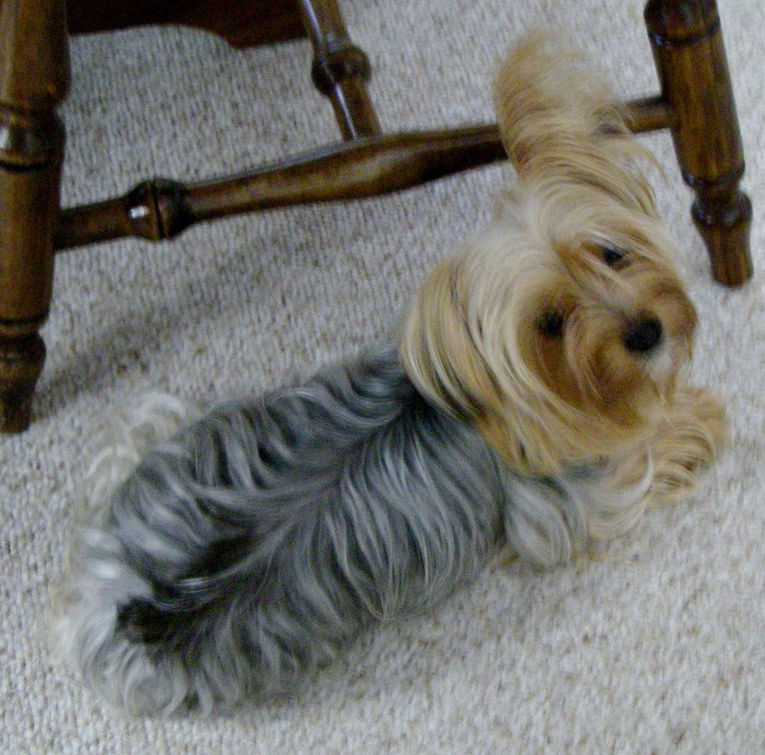 Jan Siefert's album, Profile Pictures