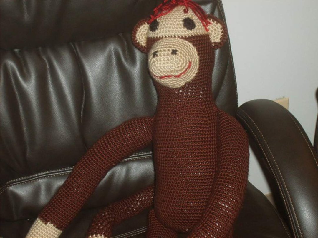 Debbie Snyder's album, Monkey - November 16, 2010